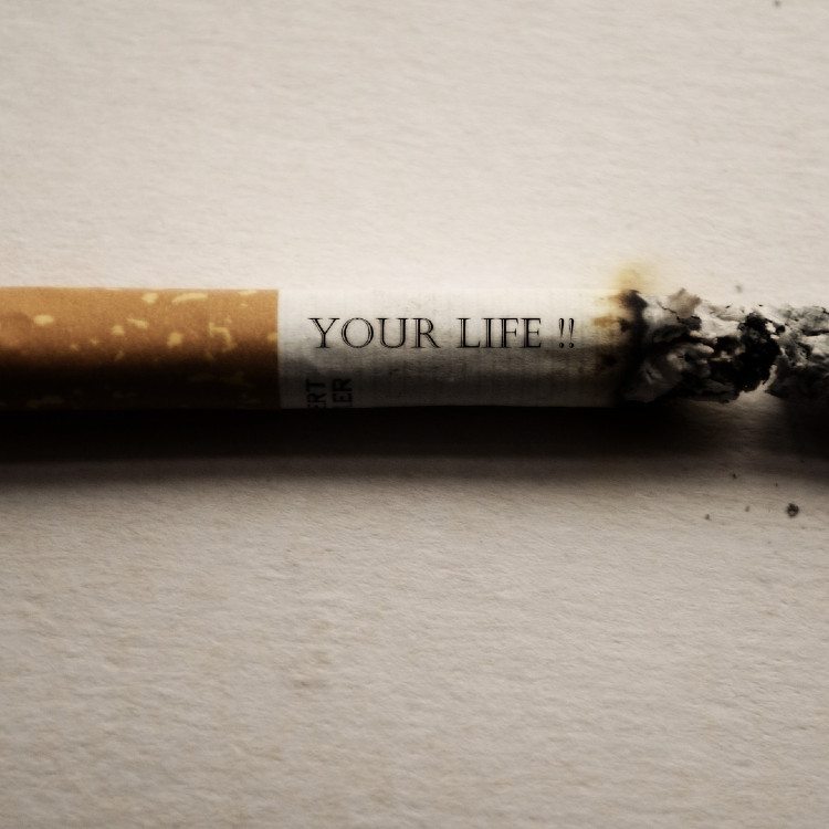 dohany Tervezhető-e a Saját életstílusunk?