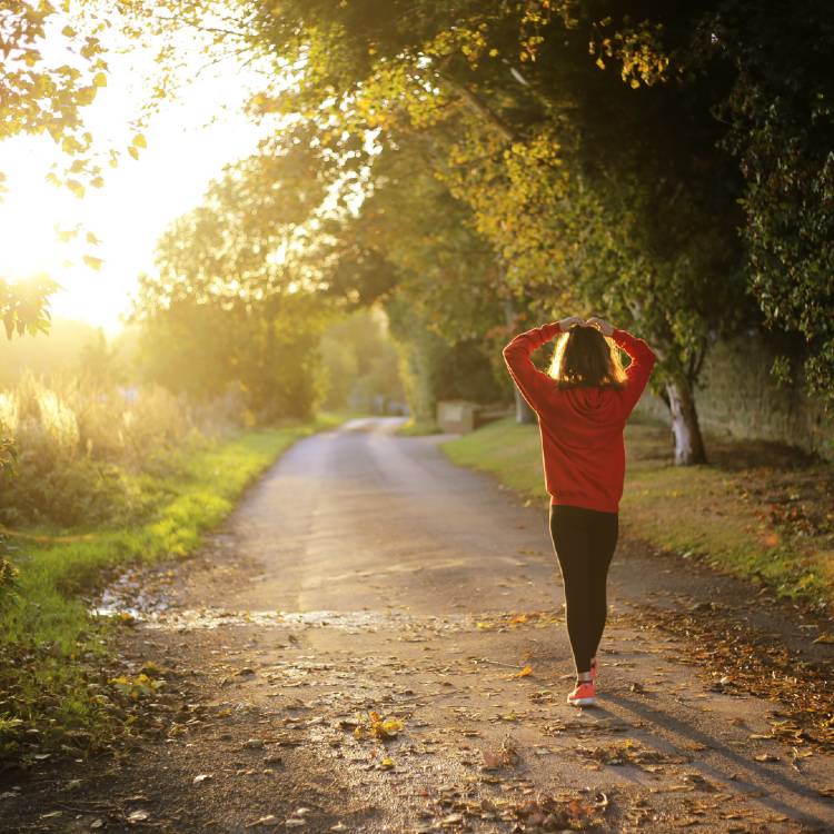 seta Tervezhető-e a Saját életstílusunk?