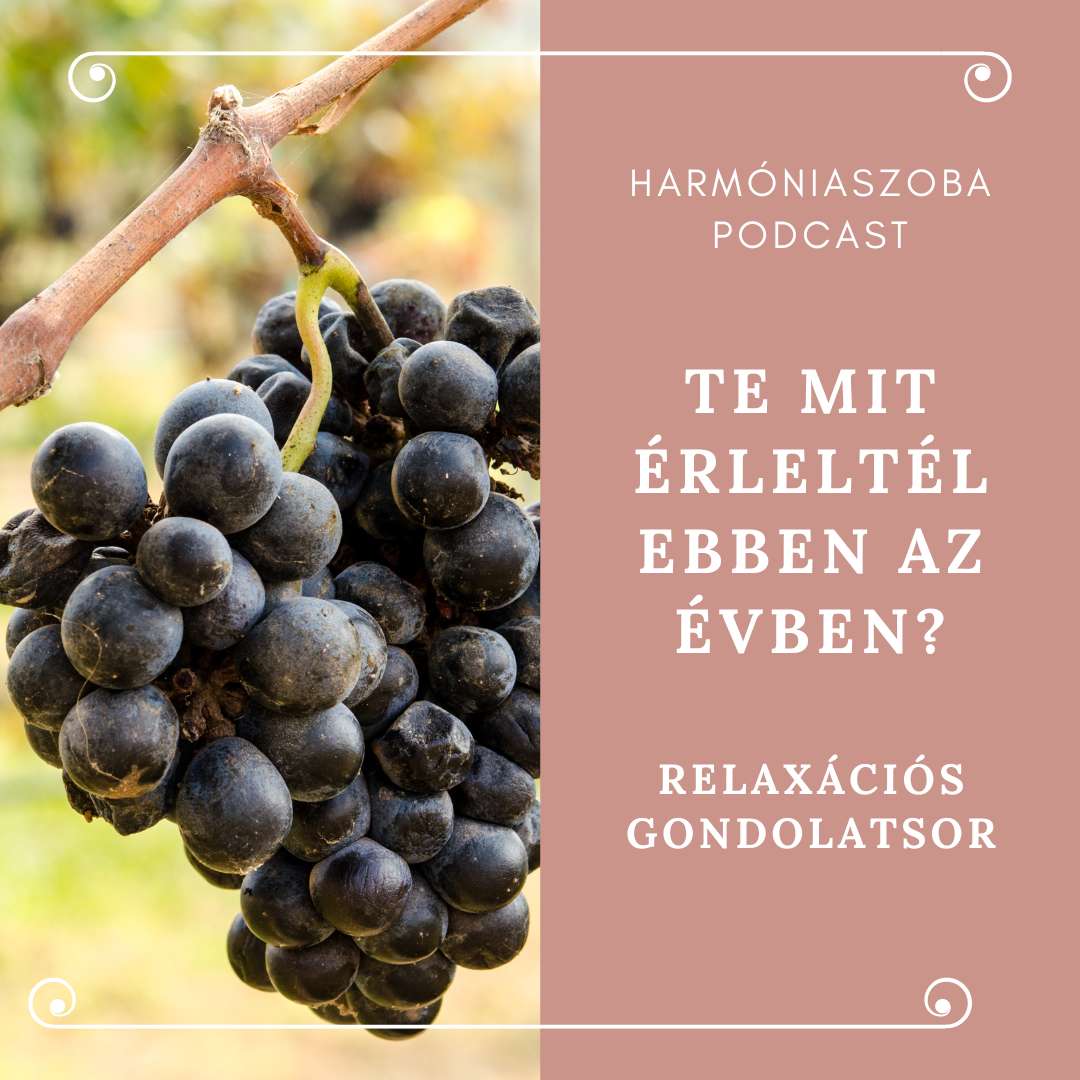 pod90 90. Te mit érleltél ebben az évben?