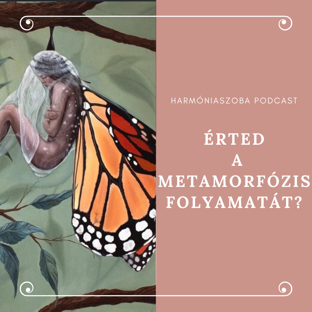 176.Érted a metamorfózis folyamatát?